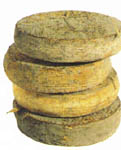 Saint Nectaire fromage